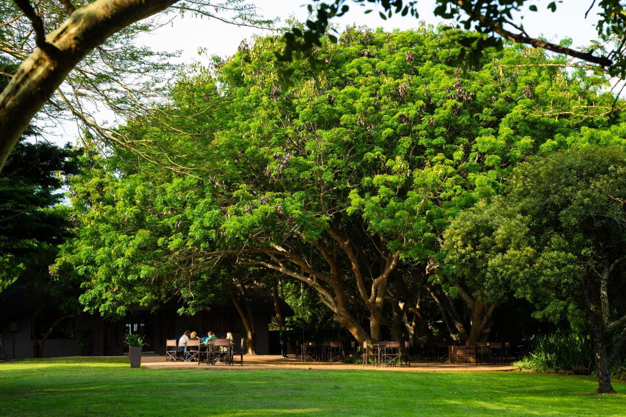 Falaza Game Park And Spa Hluhluwe Esterno foto